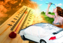 Как выжить в жару? Жара