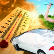 Как выжить в жару? Жара