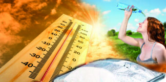 Как выжить в жару? Жара