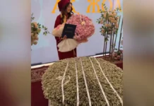 Букет из долларов подарили выпускнице вуза Шымкента Букет из долларов подарили выпускнице вуза Шымкента