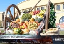 Как развивается Туркестанская область? Сельское хозяйство в Туркестанской области