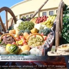 Как развивается Туркестанская область? Сельское хозяйство в Туркестанской области