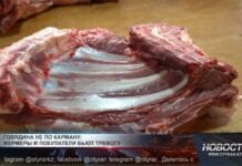 Мясо за 5 тысяч: в Шымкенте говядина превращается в деликатес Мясо