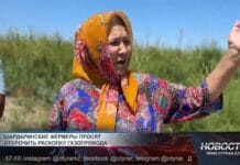 Шардаринские фермеры в отчаянии и просят отсрочить раскопку газопровода Шардаринские фермеры
