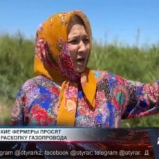 Шардаринские фермеры в отчаянии и просят отсрочить раскопку газопровода Шардаринские фермеры