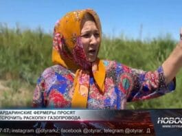 Шардаринские фермеры