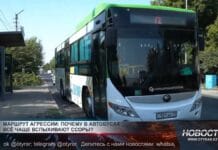 Автобусы Шымкента — новый очаг общественного напряжения В автобусах Шымкента — ссоры и драки