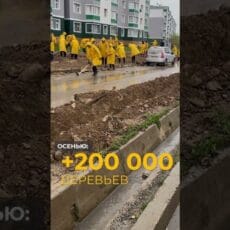 220 тысяч деревьев и километры автополива: как озеленяют Шымкент Как озеленяют Шымкент