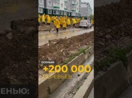 Как озеленяют Шымкент