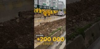 220 тысяч деревьев и километры автополива: как озеленяют Шымкент Как озеленяют Шымкент