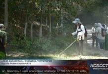 На Кошкарате отдыхают тысячи шымкентцев, а мусор убирают десятки Уборка территории