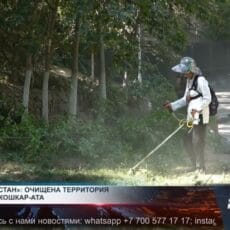 На Кошкарате отдыхают тысячи шымкентцев, а мусор убирают десятки Уборка территории