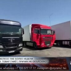 Тонны фруктов гниют пока фуры неделями стоят на таможне Фуры неделями стоят на таможне
