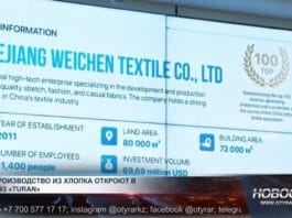 Иностранные инвестиции в текстильное производство