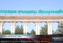 Редкие деревья снова приживаются в сердце Шымкента Дендропарк Шымкента