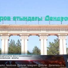 Редкие деревья снова приживаются в сердце Шымкента Дендропарк Шымкента