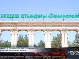 Дендропарк Шымкента