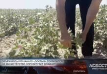 Минводресурсов опровергло сведения об отсутствии поливной воды Засуха в поливной сезон