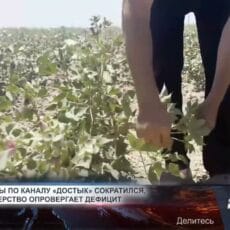 Минводресурсов опровергло сведения об отсутствии поливной воды Засуха в поливной сезон