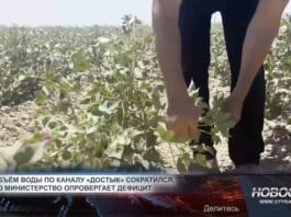 Засуха в поливной сезон