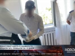 Раскрыта крупная финансовая пирамида