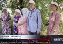 Сельчане требуют вернуть пастбища в общее пользование Сельчане требуют вернуть пастбища в общее пользование