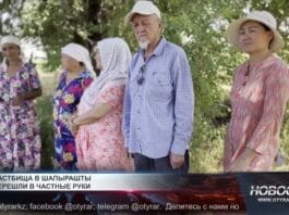Сельчане требуют вернуть пастбища в общее пользование