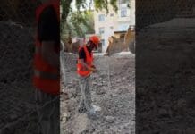 Большое обновление Кошкараты: будет красиво, чисто и зелено Большое обновление Кошкараты