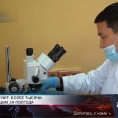 Конго-крымская лихорадка возвращается вместе с нашествием клещей Лаборатория