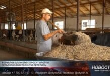 В Казахстане стартует сельхозперепись: что нужно знать фермерам Фермерство