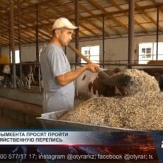 В Казахстане стартует сельхозперепись: что нужно знать фермерам Фермерство