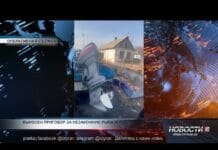 Трое рыбаков поплатились свободой за незаконный лов рыбы в Шардаре Незаконный лов рыбы