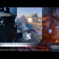 Трое рыбаков поплатились свободой за незаконный лов рыбы в Шардаре Незаконный лов рыбы