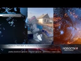 Незаконный лов рыбы