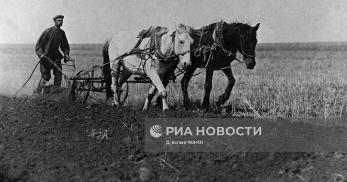 Орыс фермері