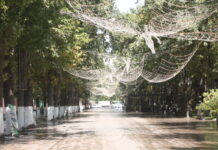 Шымкент 2026: сколько город заработал и на что потратил Арбат в Шымкенте