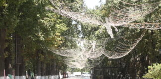 Шымкент 2026: сколько город заработал и на что потратил Арбат в Шымкенте