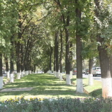 Отдых в Шымкенте: на любой вкус и бюджет Аллея в Шымкенте