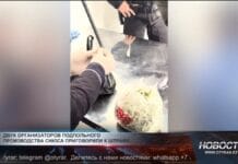 Организаторы заплатят миллионные штрафы за подпольное изготовление снюса Подпольный цех по изготовлению снюса