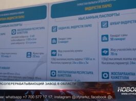 Новый мясоперерабатывающий завод в Ордабасинском районе