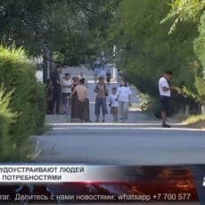 Трудовая поддержка без границ Трудоустройство в Кентау