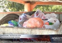 Горы мусора во дворах Шымкента: когда наведут чистоту?