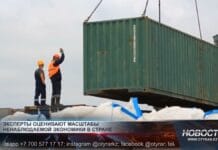 Каковы масштабы теневой экономики в Казахстане? Погрузка - разгрузка