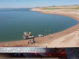 Шардаринское водохранилище