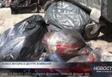 Горы мусора растут, тарифы — тоже: шымкентцы требуют ответа Мусор во дворах Шымкента