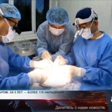 Они спасают жизни, но их жизни под угрозой: как защитить врачей Врачи-хирурги