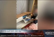 Шымкентцы вложили миллиард в финансовую пирамиду «Аяла Голд»