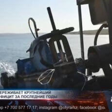 Шардара переживает крупнейший дефицит воды за последние годы Дефицит воды в Шардаре