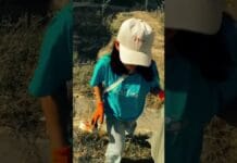 Тысячи жителей Шымкента вышли на общегородской субботник Общегородской субботник в Шымкенте