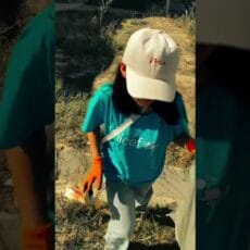 Тысячи жителей Шымкента вышли на общегородской субботник Общегородской субботник в Шымкенте